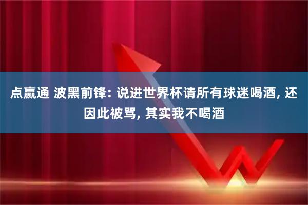 点赢通 波黑前锋: 说进世界杯请所有球迷喝酒, 还因此被骂, 其实我不喝酒