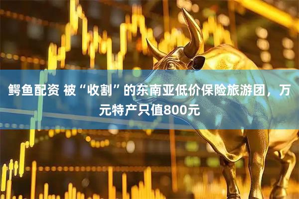 鳄鱼配资 被“收割”的东南亚低价保险旅游团，万元特产只值800元
