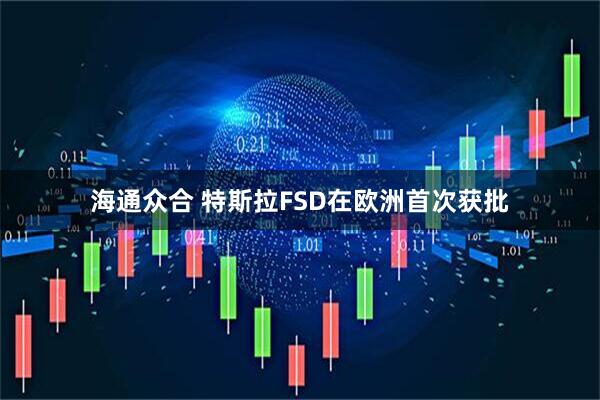 海通众合 特斯拉FSD在欧洲首次获批